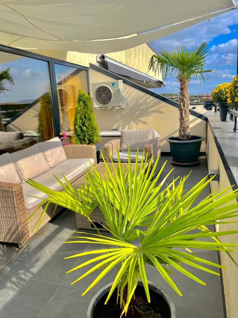 Penthouse Iasi Apartment Exterior foto